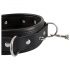 Bad Kitty - Stacheliges, genietetes Halsband mit Leine (schwarz)