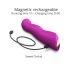 Love to Love Swap - Aufladbarer, pulsierender G-Punkt Vibrator (Lila)