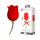 Pretty Love Rose: 2in1 Zungen-Vibrator (rot)