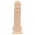 Real Fantasy Ashton - naturgetreuer Dildo mit Hoden - 20,5cm